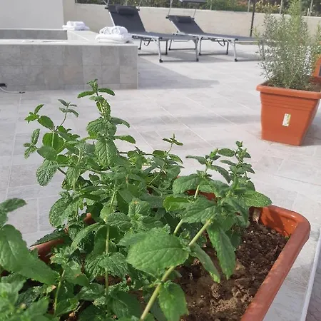 Fronte Mare דירה *