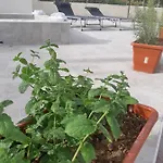 Fronte Mare 아파트 *