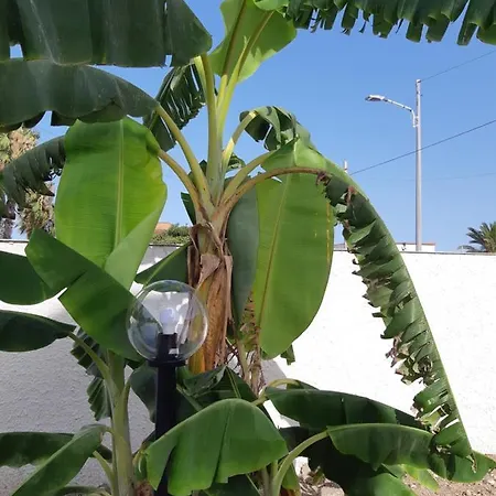 Fronte Mare Apartament