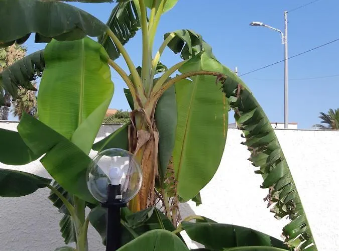 Fronte Mare Apartmán