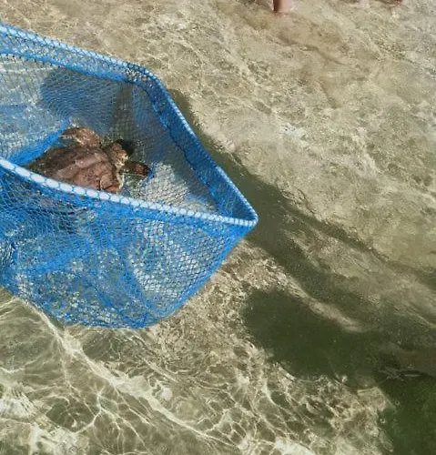 Fronte Mare Apartmán